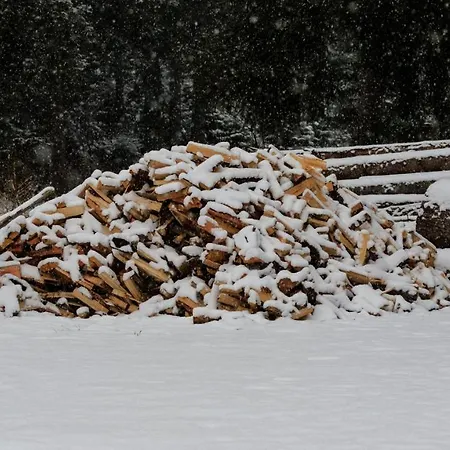 Haus Timmler Apartment