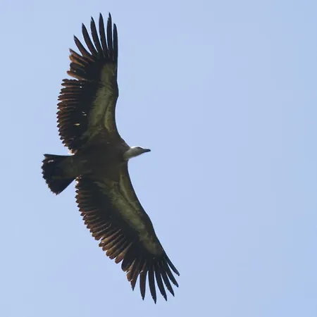 Haus Timmler Apartment Sankt Anton am Arlberg