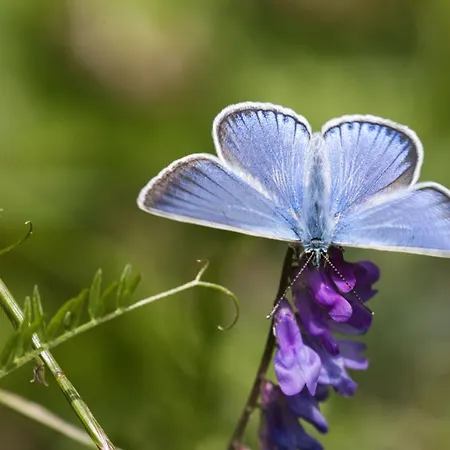 Haus Timmler Apartment