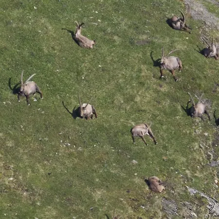 Apartment Haus Timmler