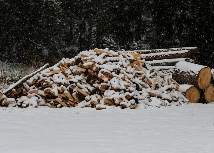 Haus Timmler Apartamento