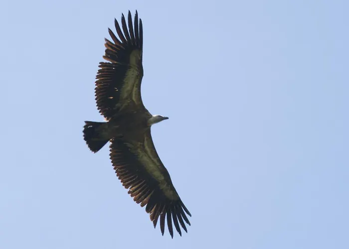 Haus Timmler Apartamento Sankt Anton am Arlberg