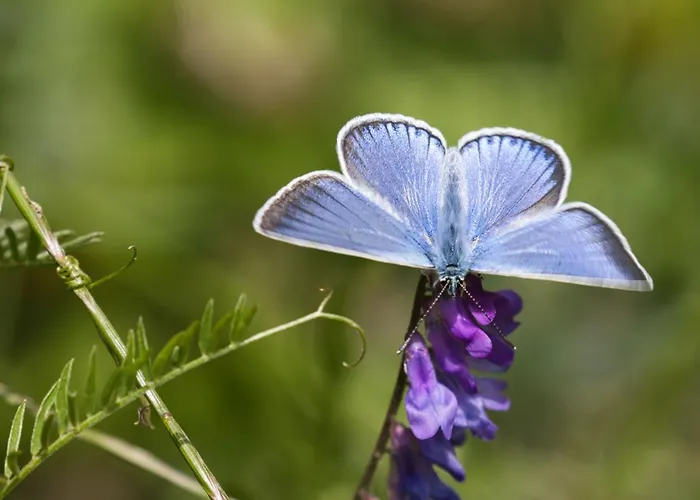 Haus Timmler Apartamento