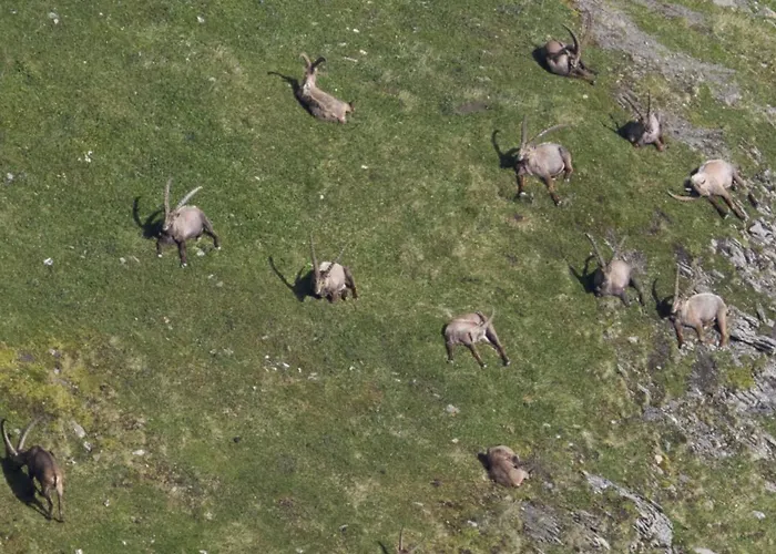 Apartamento Haus Timmler