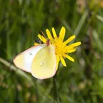 דירה Haus Timmler סן אנטון